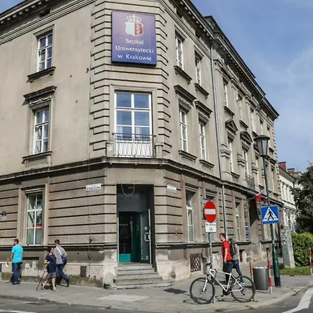 Penguin 1110 On Kopernika Street * 克拉科夫